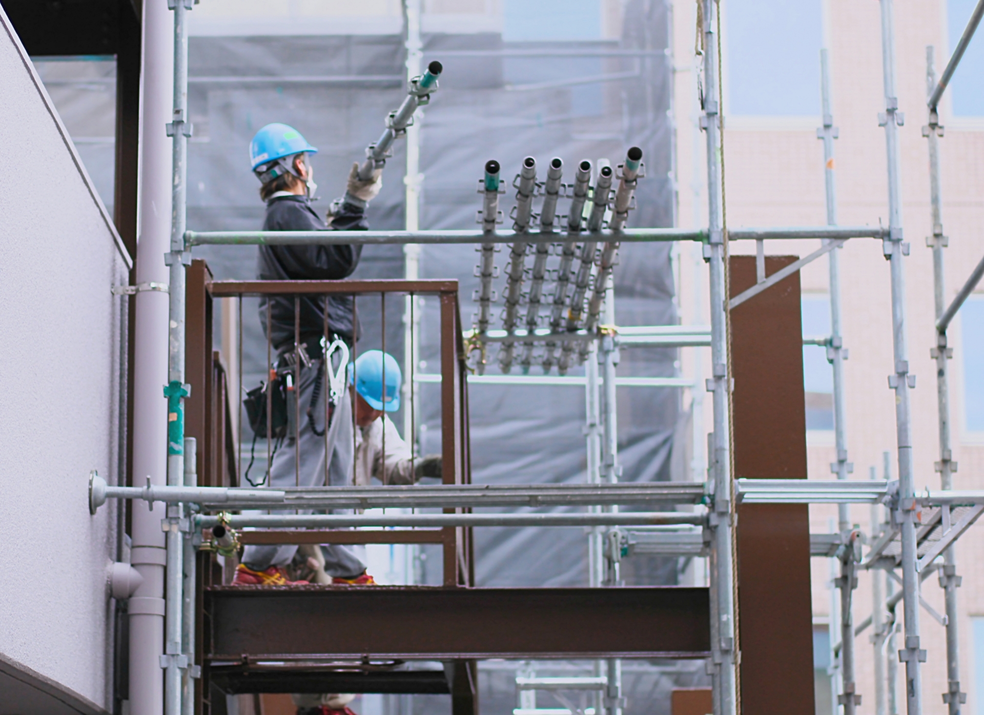 写真の説明を入れます